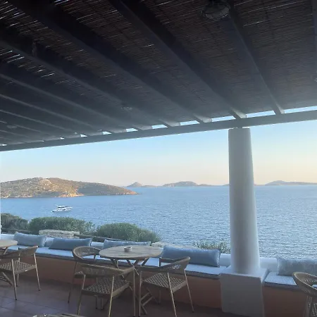 Blue İlipsi