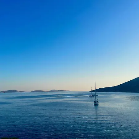 Blue Hotel